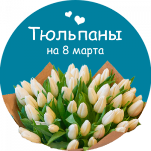 Купить тюльпаны в Касимове
